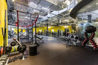 Saturn Fitness Gdynia